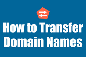 Domain Transfer Process, Steps & Cost